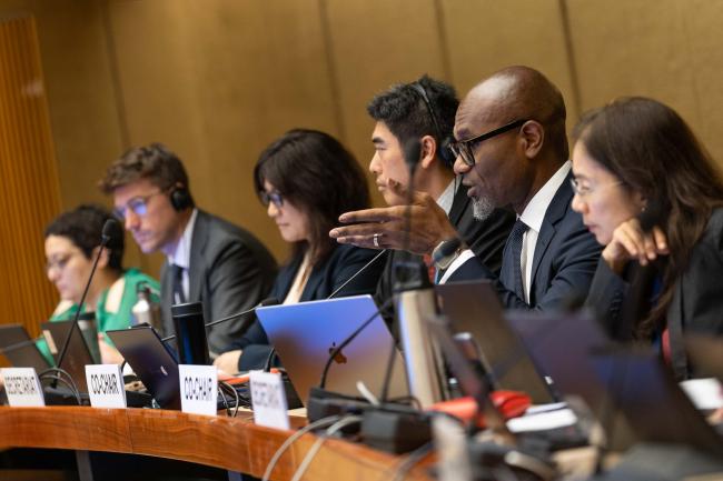 Contact Group 4 Co-Chair Linroy Christian, Antigua and Barbuda 