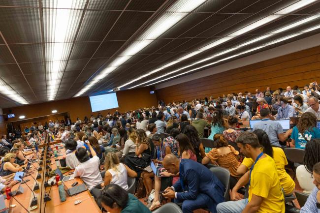 Observers gather to hear an update from the INC Chair on the status of negotiations