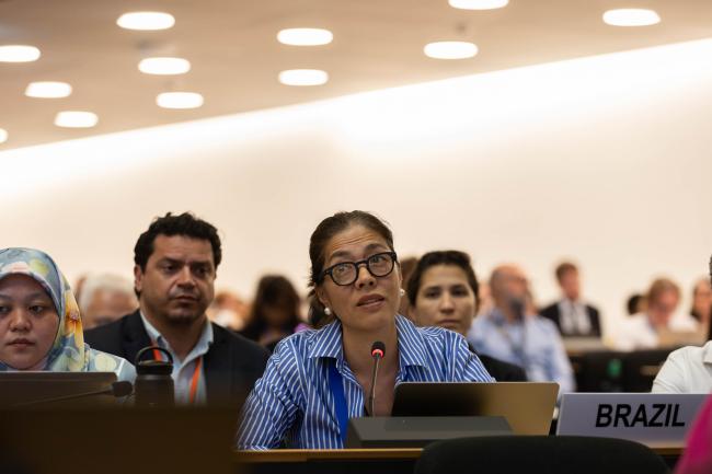 Maria Angélica Ikeda, Brazil