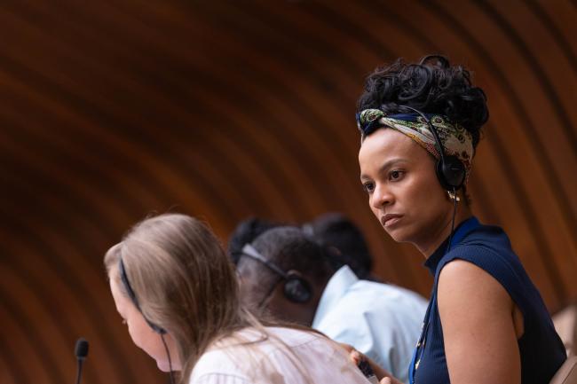 Delegates listen to the discussion