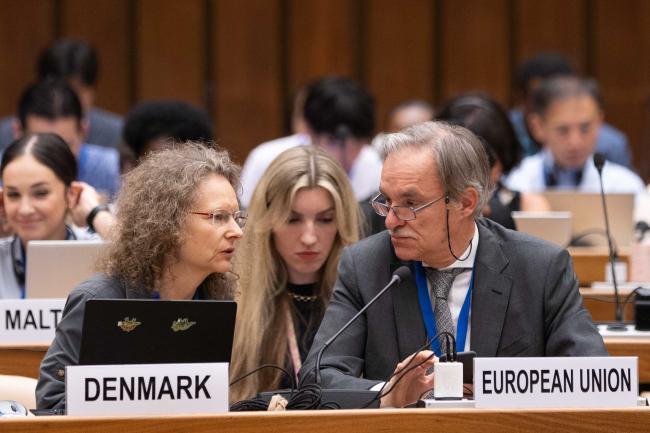 Delegates from the EU consult