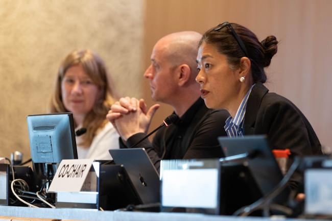 Contact Group 1 Co-Chair Maria Angélica Ikeda, Brazil