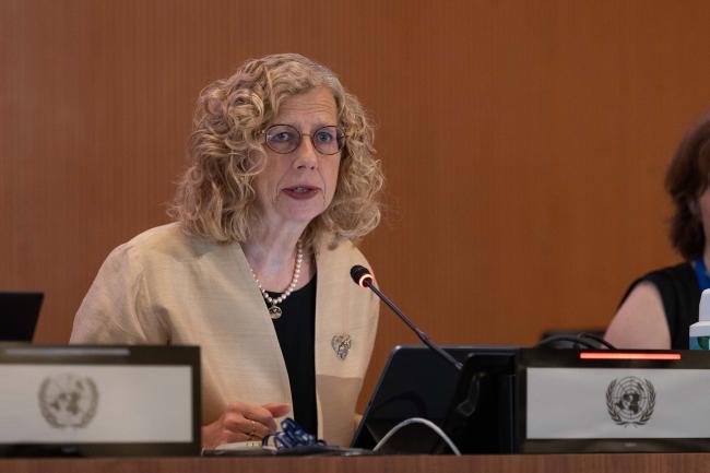 Inger Andersen, Executive Director, UNEP, welcomes delegates to the roundtable