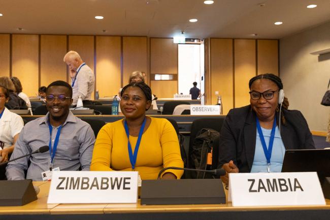 Delegates from Zimbabwe and Zambia