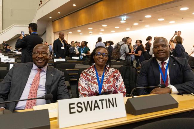 Delegates from Eswatini