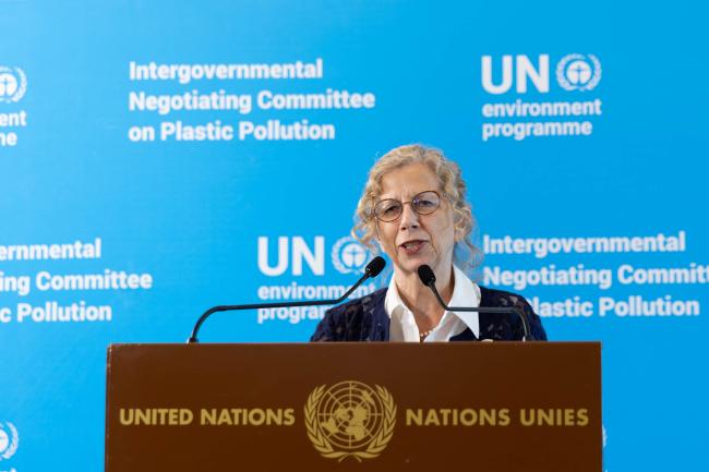 Inger Andersen, Executive Director, UNEP