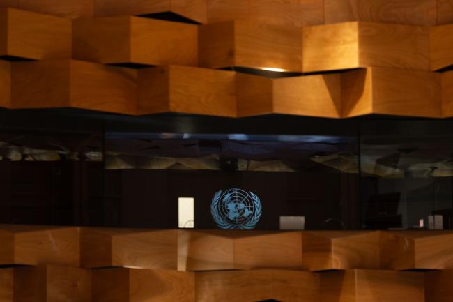 UN logo