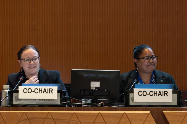 Contact Group 3 Co-Chairs Kate Lynch, Australia, and Gwen Sisior, Palau