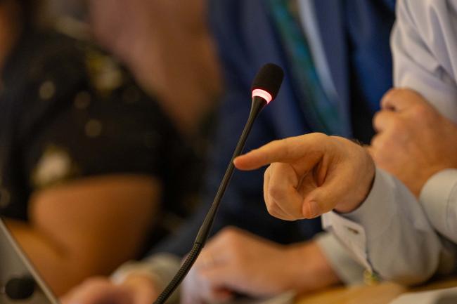 Delegate points finger