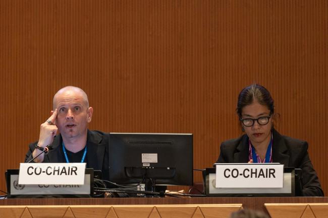 Contact Group 1 Co-Chairs Axel Borchmann, Germany, and Maria Angélica Ikeda, Brazil