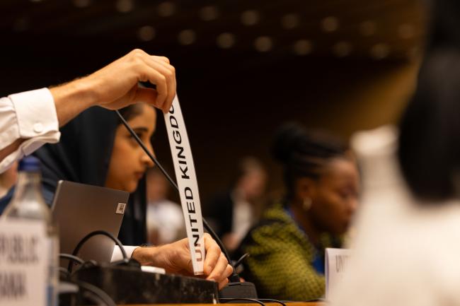 Delegates raise their placards to speak