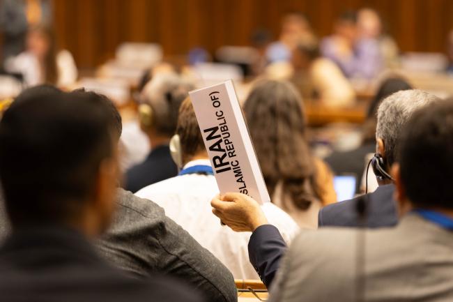 Delegates raise their placards to speak