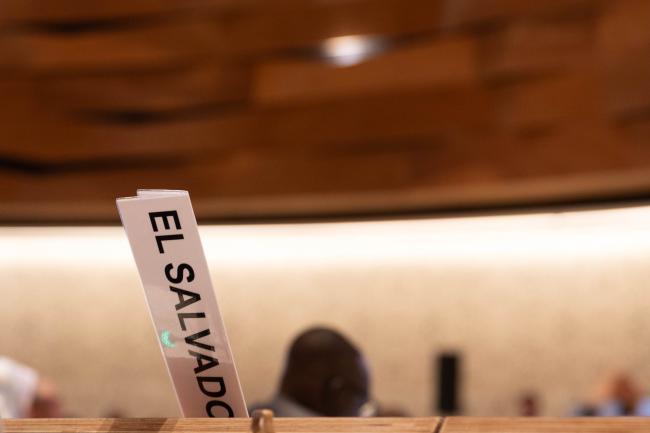 El Salvador placard