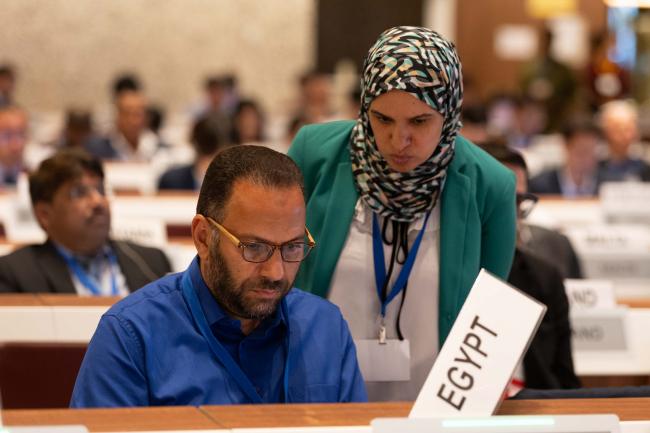 Delegates from Egypt consult