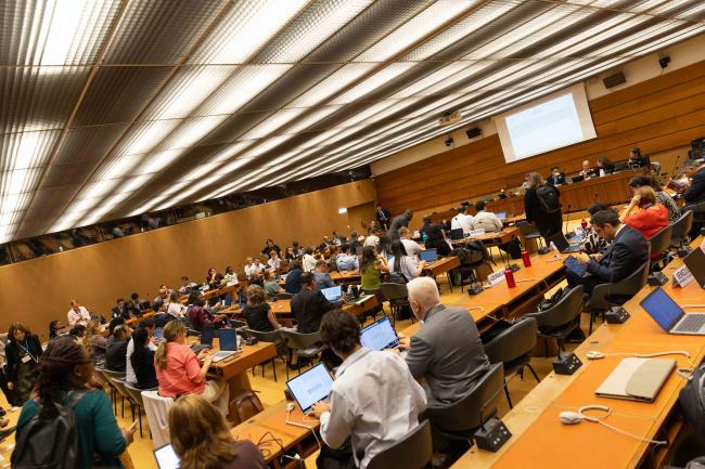 Delegates attend informal consultations on Article 3