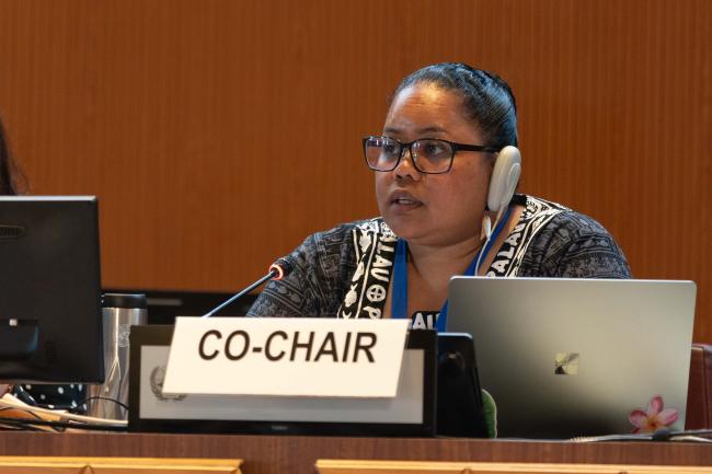 Contact Group 3 Co-Chair Gwen Sisior, Palau