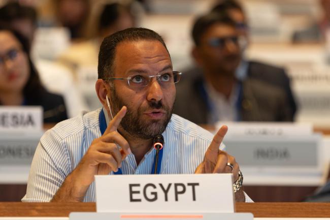 Amr Abdel-Aziz, Egypt