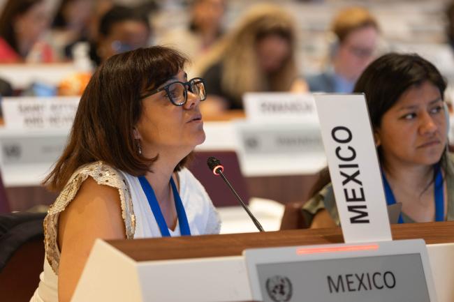 Miriam Medel García, Mexico
