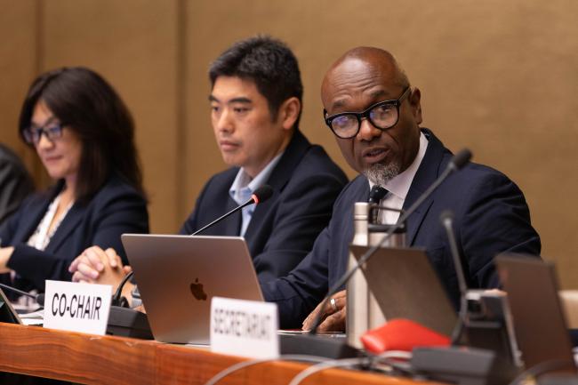 Contact Group 4 Co-Chair Linroy Christian, Antigua and Barbuda 