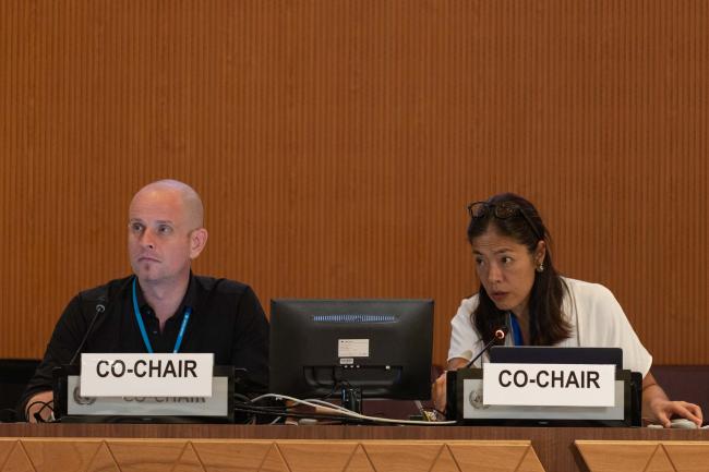 Contact Group 1 Co-Chairs Axel Borchmann, Germany, and Maria Angélica Ikeda, Brazil