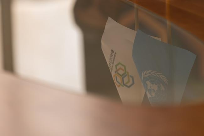 BRS and UN logo