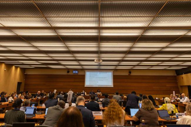 Informal consultations on Article 19