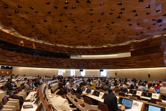 Delegates continue negotiations under Contact Group 2