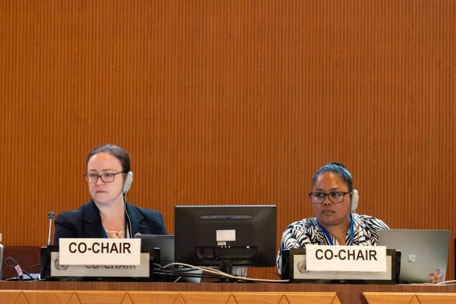 Contact Group 3 Co-Chairs Kate Lynch, Australia, and Gwen Sisior, Palau