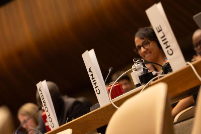 Delegates raise their placards to speak as agreement cannot be reached on the text