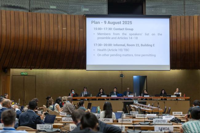 The scope of work for the session is highlighted as delegates gather for Contact Group 2