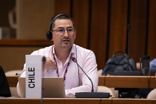Gonzalo Guaiquil, Chile 