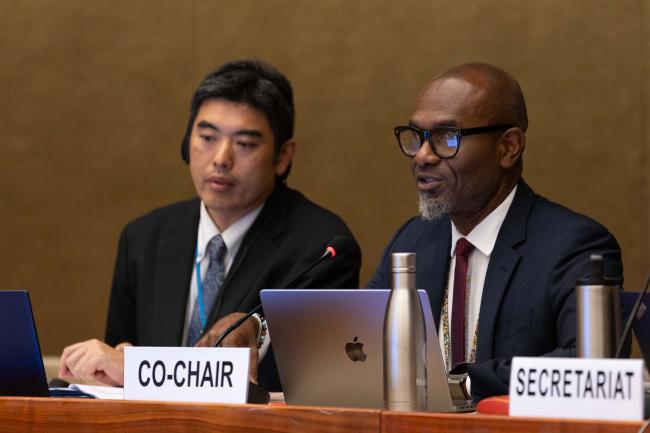 Contact Group 4 Co-Chairs Linroy Christian, Antigua and Barbuda, and Go Kobayashi, Japan