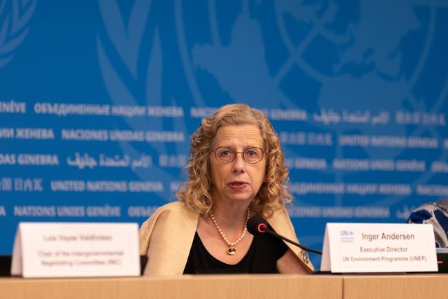 Inger Andersen, Executive Director, UNEP
