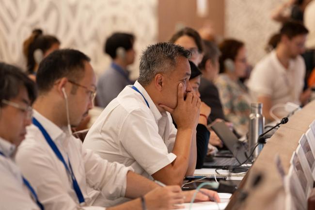 Delegates listen to the discussion 