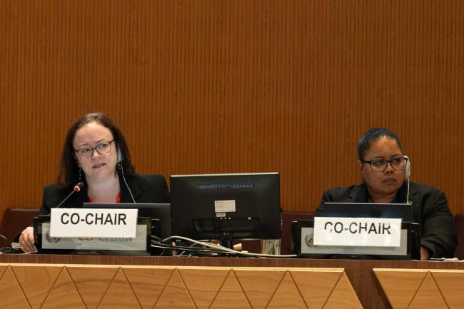 Contact Group 3 Co-Chairs Kate Lynch, Australia, and Gwen Sisior, Palau