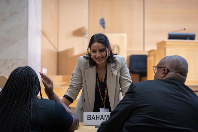 Delegates consult informally