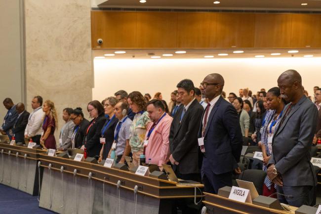 Plenary stands in a moment of silence to honor the Ghanaian ministers who tragically lost their lives before attending INC-5.2