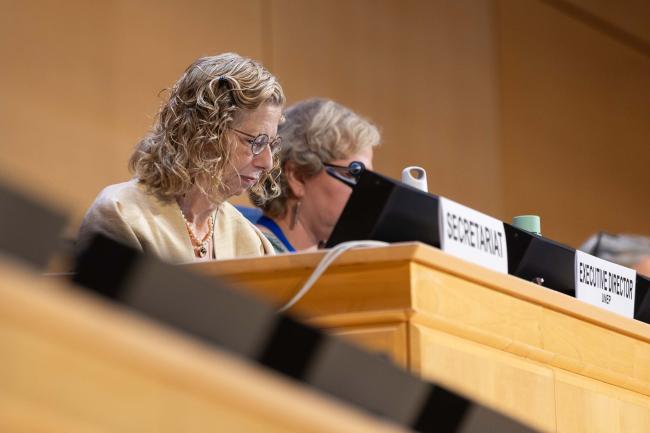 Inger Andersen, Executive Director, UN Environment Programme (UNEP)
