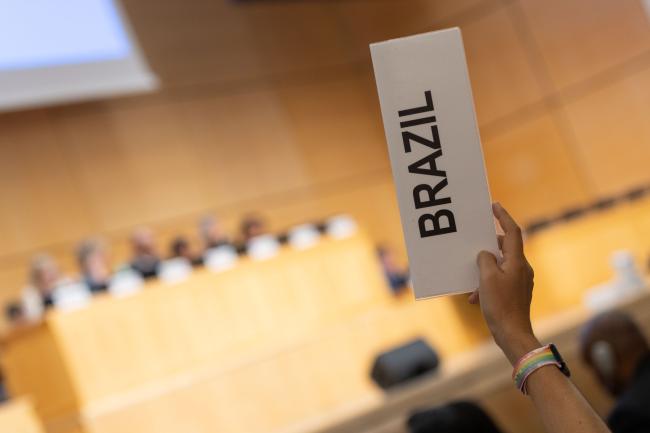 Fiji and Brazil raise points of order