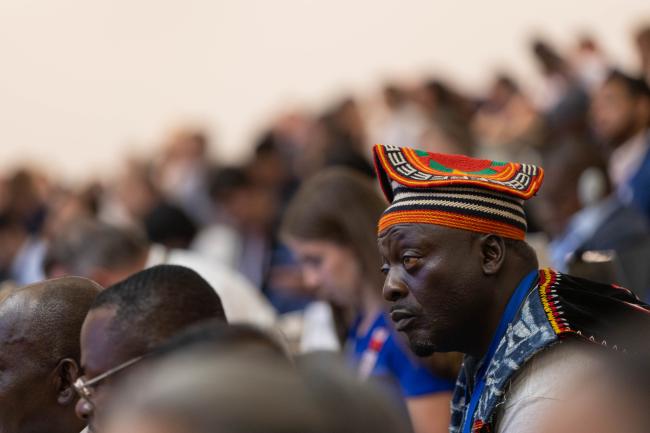 Delegates listen to the interventions