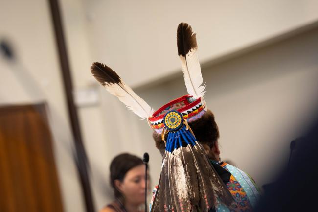 Indigenous representative