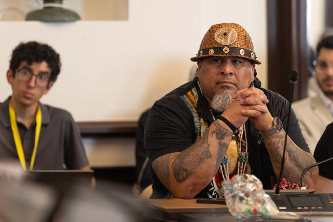 Indigenous representative