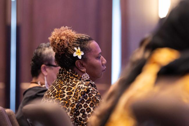 Participants listen to the discussion