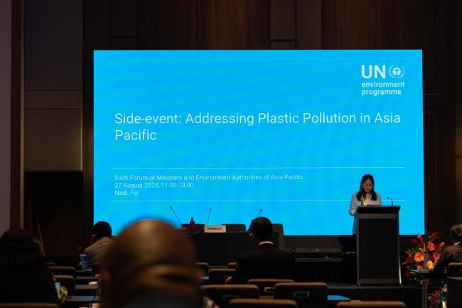 Delegates attend a side event on "Addressing Plastic Pollution in Asia Pacific"