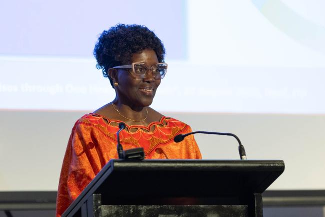 Elizabeth Maruma Mrema, Deputy Executive Director, UNEP