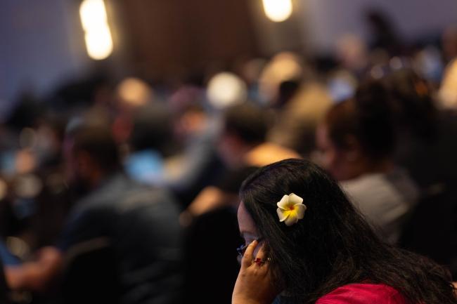 Delegates in plenary