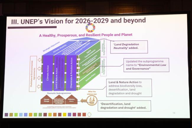 Kakuko Nagatani-Yoshida, UNEP, discussed UNEP's vision for 2026-2029 and beyond