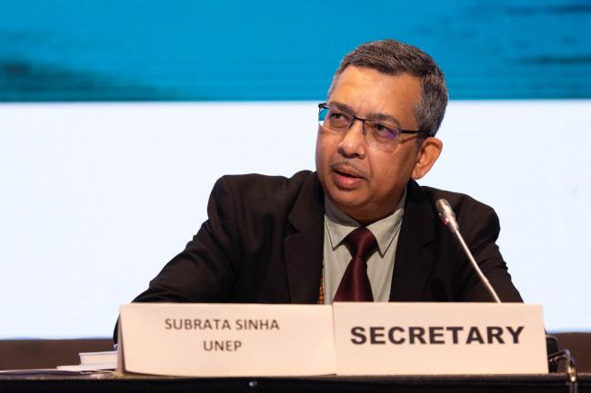 Subrata Sinha, UNEP 