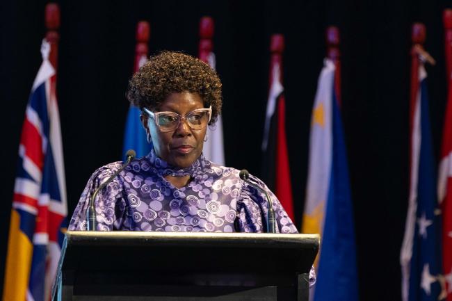 Elizabeth Maruma Mrema, Deputy Executive Director, UNEP