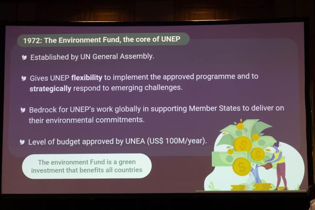 A slide highlights the importance of UNEP's core funding